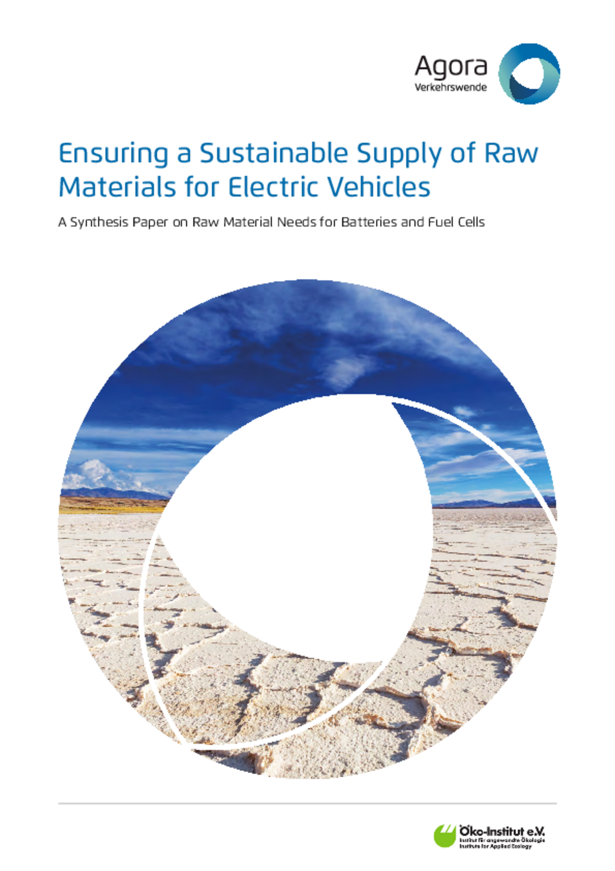 Publication Ensuring a Sustainable Supply of Raw Materials for